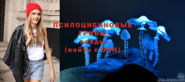 apvp Алзамай