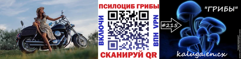 закладки  площадка клад  Псилоцибиновые грибы GOLDEN TEACHER  Сусуман 